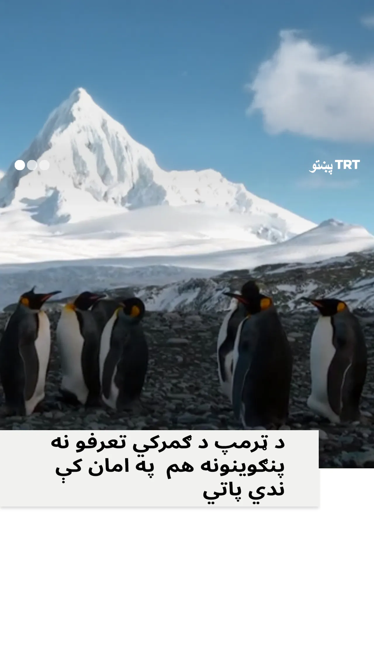 د ټرمپ د ګمرکي تعرفو نه پنګوینونه هم په امان کې پاتې ندي